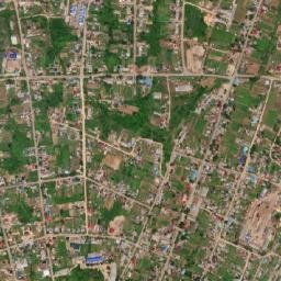 Anuchino map(satellite map)
