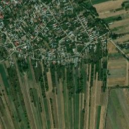 Oinacu map(satellite map)
