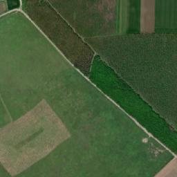 Amzacea map(satellite map)