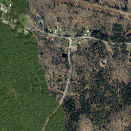 Forest City New York High Resolution Satellite Map