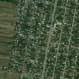 Remuș map(satellite map)