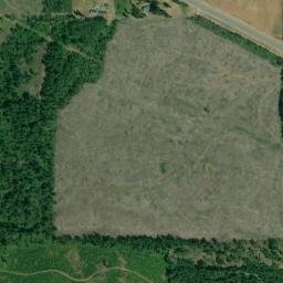 Lane County map(satellite map)