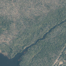 Brandreth New York High Resolution Satellite Map