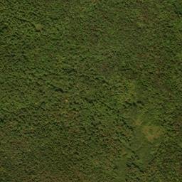 Grafton County map(satellite map)