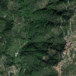 Vasia map(satellite map)