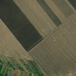 Bogdana map(satellite map)