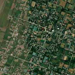 Piscu Nou map(satellite map)