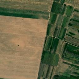 Gângiova map(satellite map)