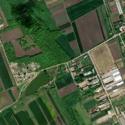 Ţigăneşti map(satellite map)
