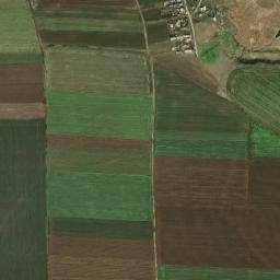 Putineiu map(satellite map)