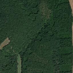 Obshtina Alfatar map(satellite map)