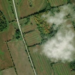 Pickering map(satellite map)