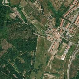 Carraia map(satellite map)