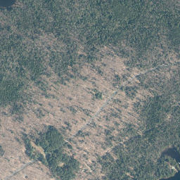 Woods New York High Resolution Satellite Map