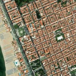 Viareggio map(satellite map)