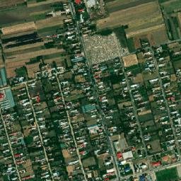 Vişina map(satellite map)