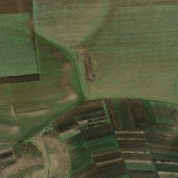 Gogoşari map(satellite map)