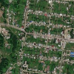 Kardonikskaya map(satellite map)
