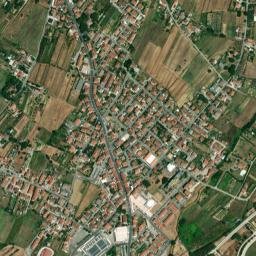Cintolese map(satellite map)