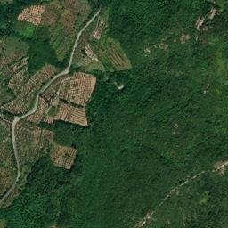 Province of Florence map(satellite map)