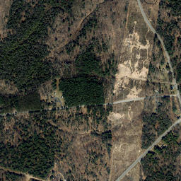 Crystal Dale New York High Resolution Satellite Map