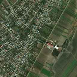 Comuna Vedea map(satellite map)