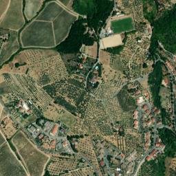 Pelago map(satellite map)