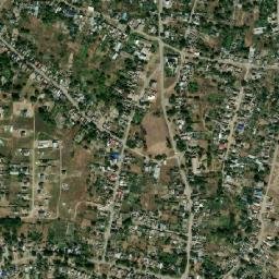 Troitskoye map(satellite map)