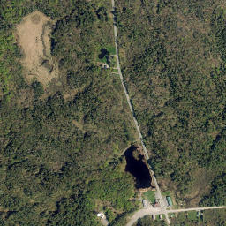 Rector New York High Resolution Satellite Map