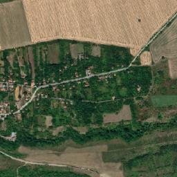 Obshtina Dimovo map(satellite map)