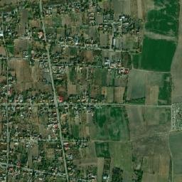 Poiana map(satellite map)