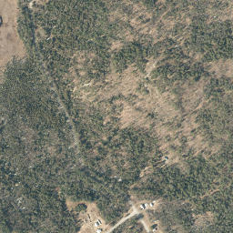 Igerna New York High Resolution Satellite Map