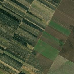Bujoru map(satellite map)