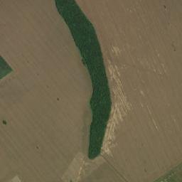 Obshtina Vetovo map(satellite map)