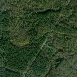 Winona New York High Resolution Satellite Map