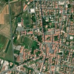 Bientina map(satellite map)