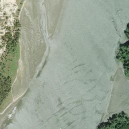 Satellite view of Forest Hills Country Club