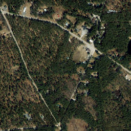 Brantingham New York High Resolution Satellite Map