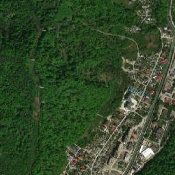 Dagomys map(satellite map)