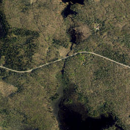 Page New York High Resolution Satellite Map