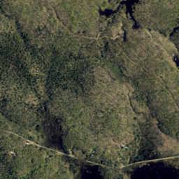 Monteola New York High Resolution Satellite Map