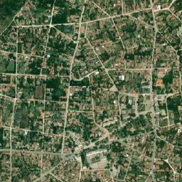 Gulyantsi map(satellite map)
