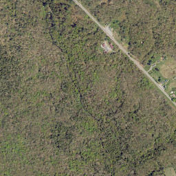 Greenboro New York High Resolution Satellite Map