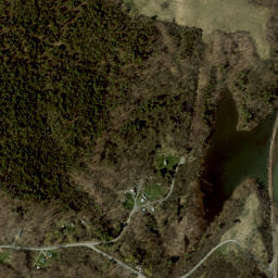 Chubbs Dock New York High Resolution Satellite Map