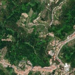 Palaia map(satellite map)