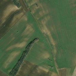 Obshtina Borovo map(satellite map)