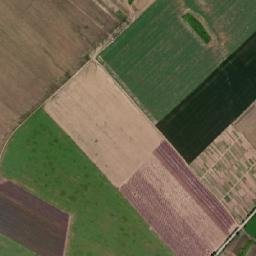 Obshtina Tsar Kaloyan map(satellite map)