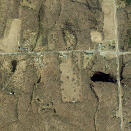 Vorea New York High Resolution Satellite Map