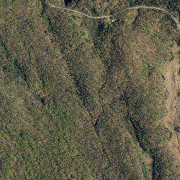 Michigan Mills New York High Resolution Satellite Map