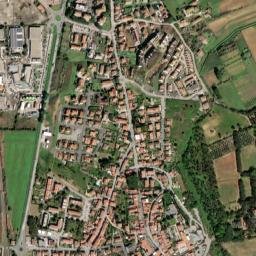 Collesalvetti map(satellite map)
